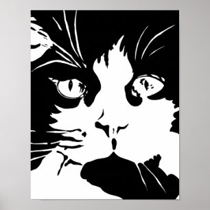 Schwarz-Weiß-Katzenposter Poster
