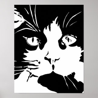 Schwarz-Weiß-Katzenposter Poster