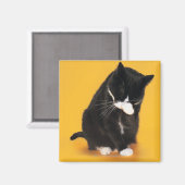 Schwarz-Weiß-Katzenreiniger mit Pfote Magnet (Vorderseite/Rückseite)