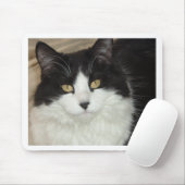 Schwarz-Weiß-Katzenschloss Mousepad (Mit Mouse)