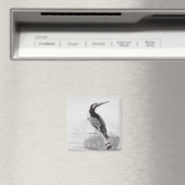 Schwarz-Weiß-Kingfisher Magnet (In Situ (Geschirrspüler))