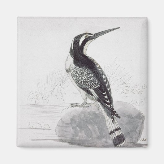 Schwarz-Weiß-Kingfisher Magnet (Vorne)