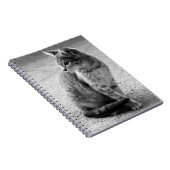 Schwarz-Weiß-KitchenNotebook Notizblock (Rechte Seite)