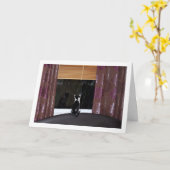 Schwarz-Weiß-Kitte am Fenster Karte (Gelbe Blume)