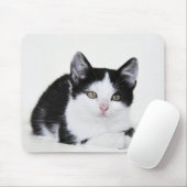 Schwarz-Weiß-Kitte Mousepad (Mit Mouse)