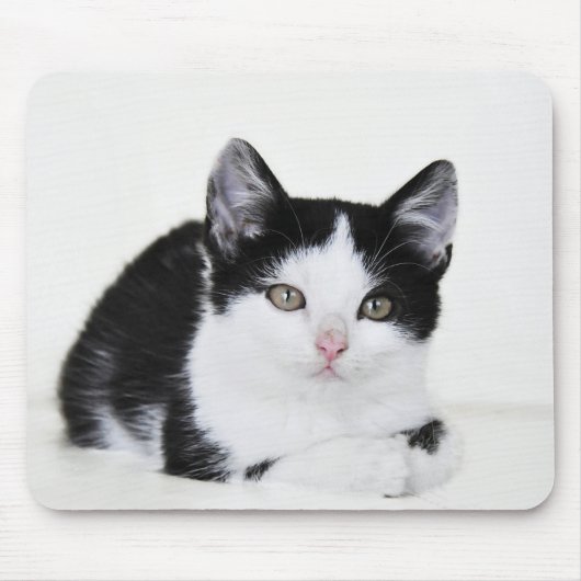 Schwarz-Weiß-Kitte Mousepad (Vorne)