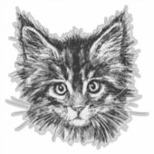 Schwarz-Weiß-Kitten Aufkleber (Vorderseite)
