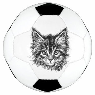 Schwarz-Weiß-Kitten Fußball