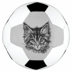 Schwarz-Weiß-Kitten-Gesichter auf Grau Fußball