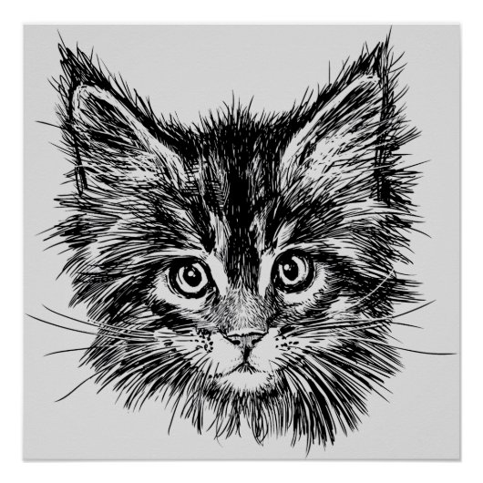 Schwarz-Weiß-Kitten-Gesichter auf Grau Poster (Vorderseite)