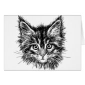 Schwarz-Weiß-Kitten-Gesichter im Inneren (Vorderseite (Horizontal))