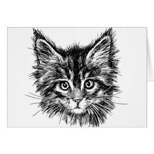 Schwarz-Weiß-Kitten-Gesichter im Inneren