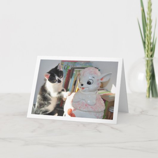 Schwarz-Weiß-Kitten mit China Lamm Karte (Vorderseite)