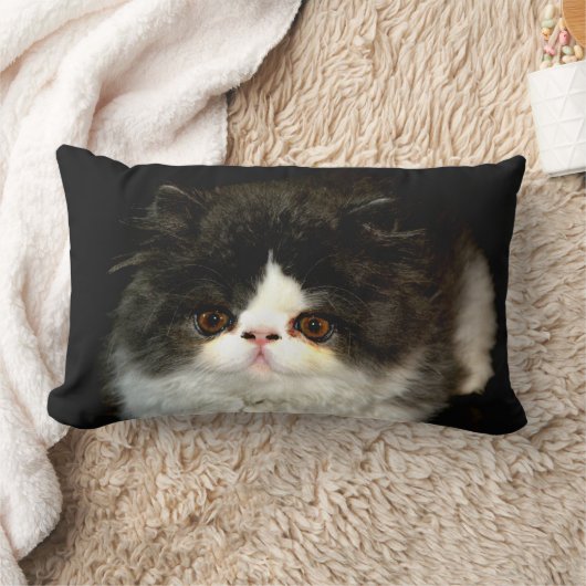 Schwarz-weiß Kitten Schwarz-weiße niedliche Katze Lendenkissen (Decke)