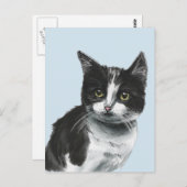 Schwarz-Weiß-Kitten Zeichnend Postkarte (Vorne/Hinten)