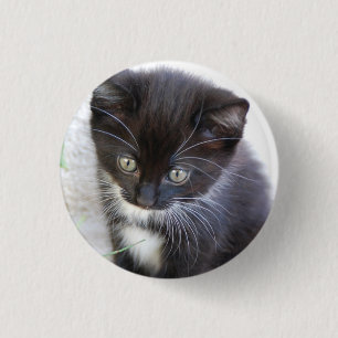 Schwarz-weiß-Kittten-Foto Button