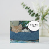 Schwarz-Weiß-Kitty-Katze Postkarte (Stehend Vorderseite)