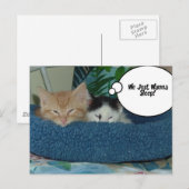 Schwarz-Weiß-Kitty-Katze Postkarte (Vorne/Hinten)