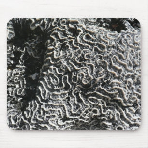 Schwarz-Weiß-Koralle I Abstrakte Naturfotografie Mousepad