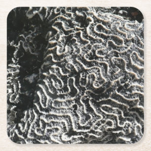 Schwarz-Weiß-Koralle I Abstrakte Naturfotografie Rechteckiger Pappuntersetzer