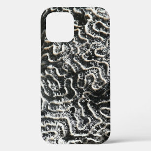 Schwarz-Weiß-Koralle II Abstrakte Naturfotografie iPhone 12 Hülle