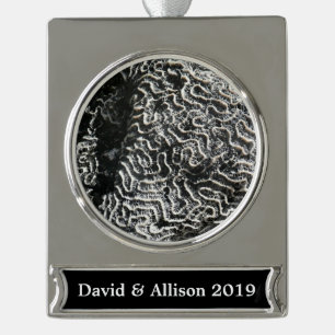 Schwarz-Weiß-Korallen I Abstrakt-Natur-Foto Banner-Ornament Silber