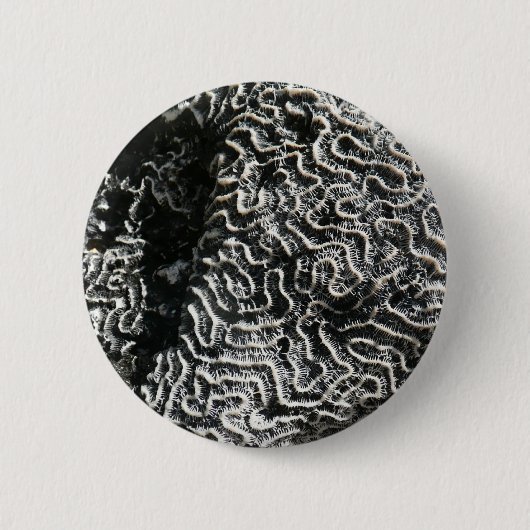 Schwarz-Weiß-Korallen I Abstrakt-Natur-Foto Button (Vorderseite)
