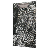 Schwarz-Weiß-Korallen I Abstrakt-Natur-Foto Klemmbrett (Links)