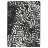 Schwarz-Weiß-Korallen I Abstrakt-Natur-Foto Klemmbrett (Rückseite)