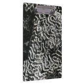 Schwarz-Weiß-Korallen I Abstrakt-Natur-Foto Klemmbrett (Rechts)