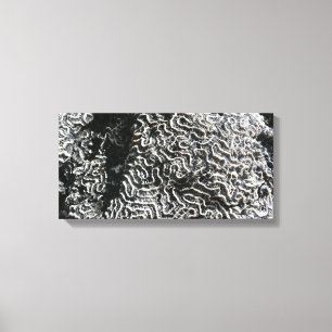 Schwarz-Weiß-Korallen I Abstrakt-Natur-Foto Leinwanddruck
