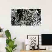 Schwarz-Weiß-Korallen I Abstrakt-Natur-Foto Poster (Heimbüro)