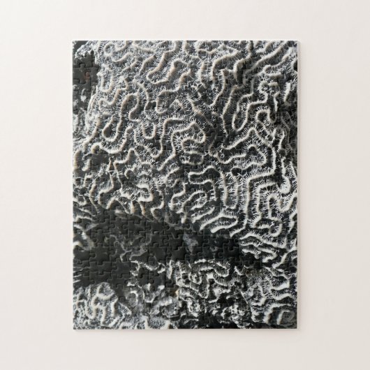 Schwarz-Weiß-Korallen I Abstrakt-Natur-Foto Puzzle (Vertikal)