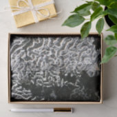 Schwarz-Weiß-Korallen I Abstrakt-Natur-Foto Seidenpapier (Geschenk)