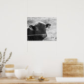 Schwarz-Weiß-Kuh hinter Barbed Wire Fence 16x20 Poster (Küche)