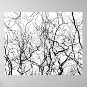 Schwarz-Weiß-Kunst Bare Willow Trester Poster (Vorne)