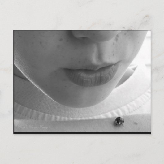 Schwarz-Weiß-Ladybug Postkarte (Vorderseite)