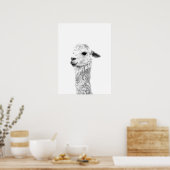 Schwarz-Weiß-Lama-Zuchtportrait Poster (Küche)