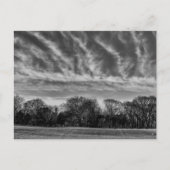 Schwarz-Weiß-Landschaft Foto des Central Park Postkarte (Vorderseite)