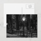 Schwarz-Weiß-Landschaft Foto des Central Park Postkarte (Vorne/Hinten)