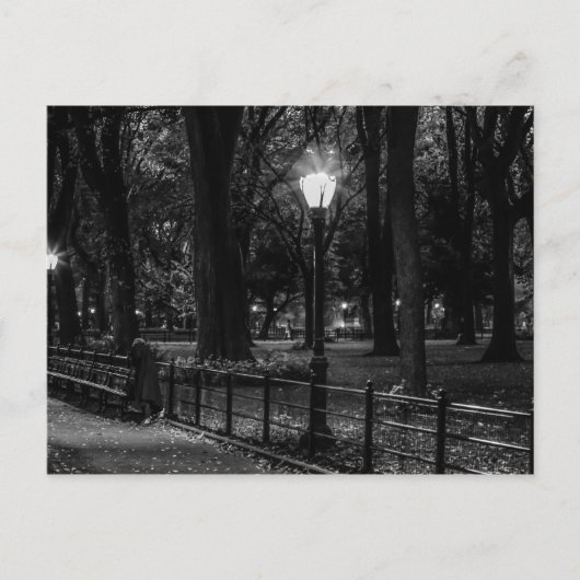Schwarz-Weiß-Landschaft Foto des Central Park Postkarte (Vorderseite)