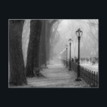 Schwarz-Weiß-Landschaft im Zentralpark Postkarte<br><div class="desc">Ich nahm dieses Foto im Central Park. Meine Leidenschaft ist Fotografie und ich habe viele Fotos New Yorks aufgenommen, darunter Straßenzüge, Fotos, Wildtiere, Menschen und Architektur.</div>