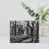 Schwarz-Weiß-Landschaft im Zentralpark Postkarte (Stehend Vorderseite)