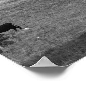 Schwarz-Weiß-Landschaft Kühe Weiden auf einem Feld Poster (Ecke)