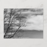 Schwarz-Weiß Landschaft Natur Foto