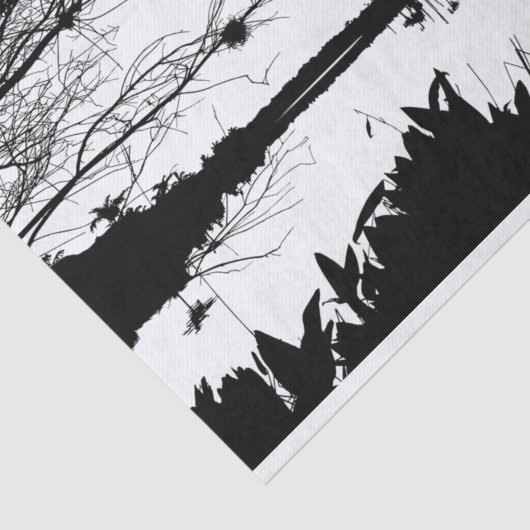 Schwarz-Weiß-Landschaft Seidenpapier (Ausschnitt)