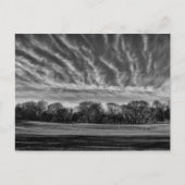 Schwarz-Weiß-Landschaft Zentralpark Foto Postkarte (Vorderseite)