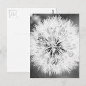 Schwarz-Weiß-Leuchte Postkarte (Vorne/Hinten)