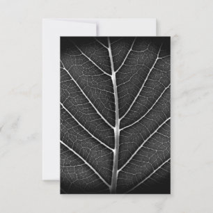 Schwarz-weiß leuchtendes Blatt Nahaufnahme Mitteilungskarte