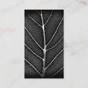 Schwarz-Weiß leuchtendes Blatt Nahaufnahme Visitenkarte
